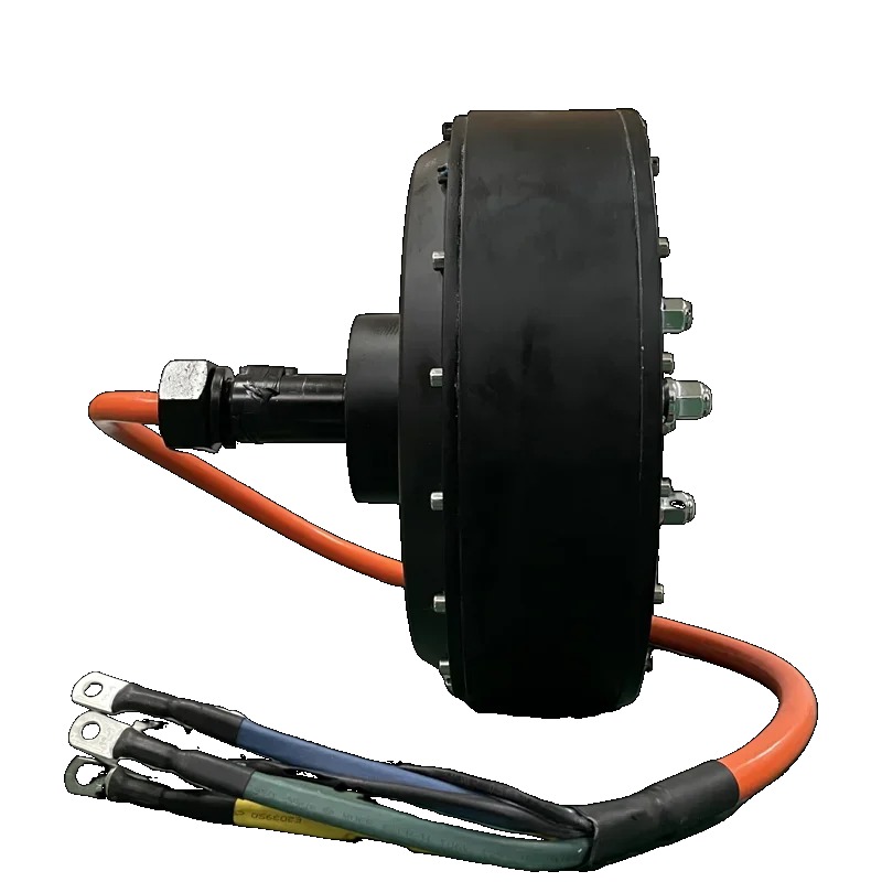 Motore con mozzo ad albero sin - Qs Motor 273 8000W Hub Motor recensione e prezzo