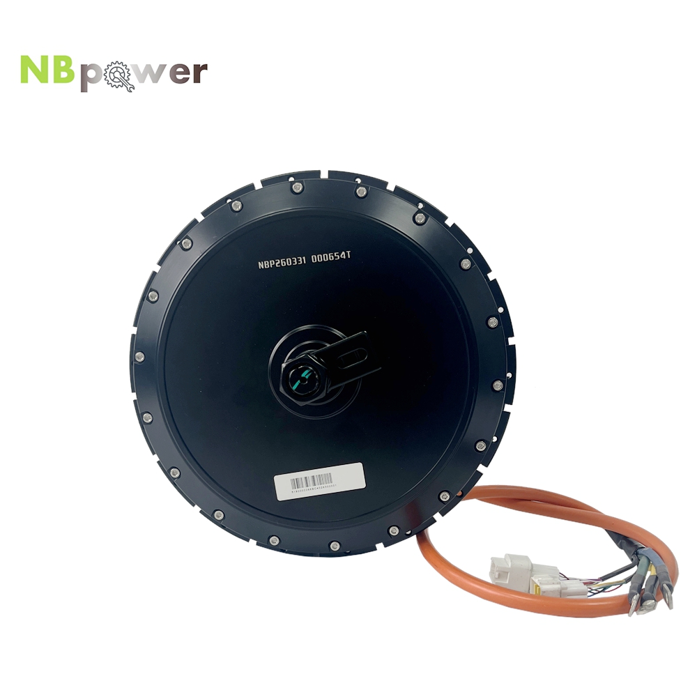 Motore Mozzo Posteriore Elettr - Qs Motor 273 8000W Hub Motor recensione e prezzo