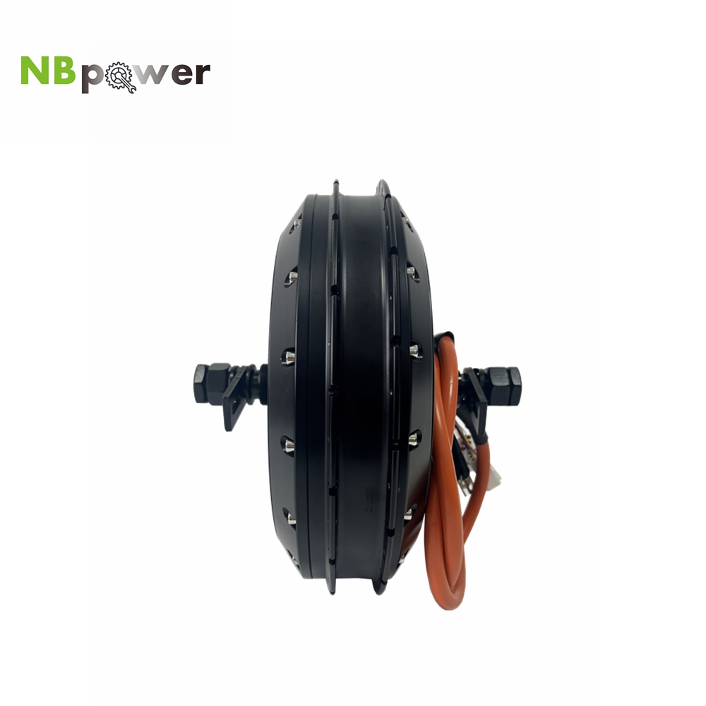 Motore Mozzo Posteriore Elettr - Qs Motor 273 8000W Hub Motor recensione e prezzo