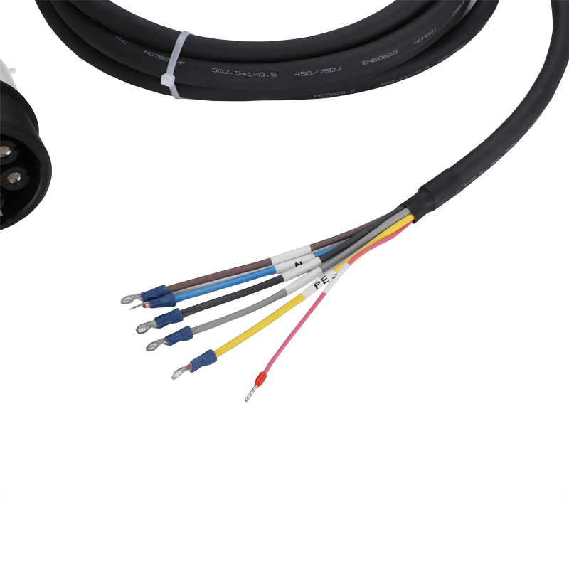 Spina caricabatterie EV con ca - Ev Charger Type 2 22Kw 32A 3 Phase recensione e prezzo